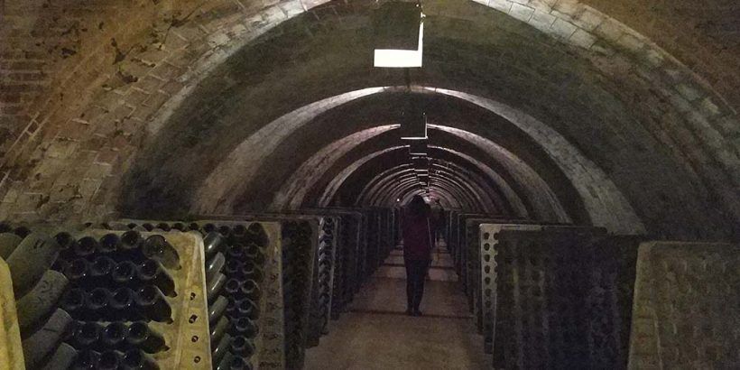 Private Cava Tour around  Penedes