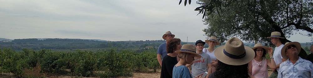 Wine Tour in Penedes