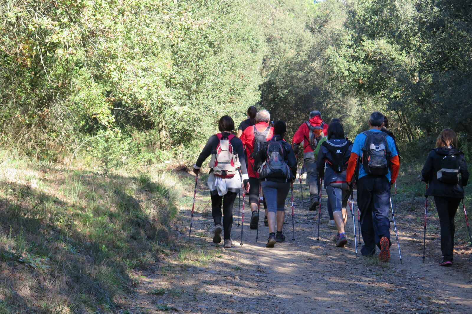 Marcha Nordica en Vallgorguina