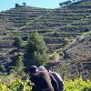 private-wine-tour-from-barcelona